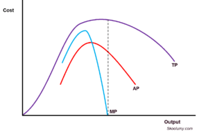 Total Product, Average Product and Marginal Product